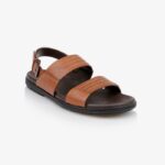 Theodore - Side View