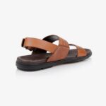 Theodore - Back View