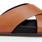 Maxwell - Angle View